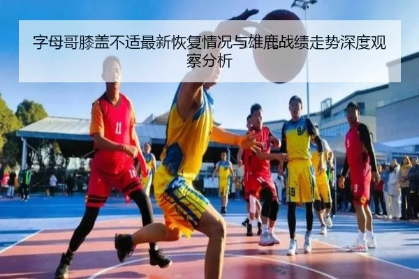 字母哥膝盖不适最新恢复情况与雄鹿战绩走势深度观察分析